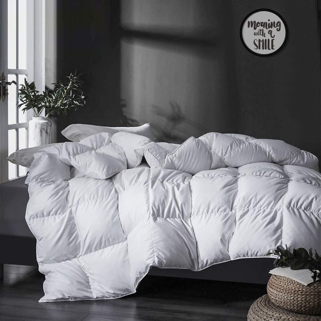 Luxurious Queen Size Goose Feathers down Comforter, All Season Goose down Duvet Insert, Ultra-Soft Pima Cotton, 33Oz Fluffy Hotel Collection Goose down Comforter with Ties(90X90, White)